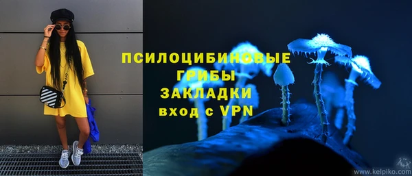 PSILOCYBIN Армянск