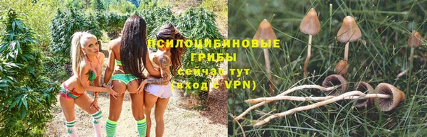 гидропоника Арсеньев