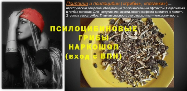 гидропоника Арсеньев