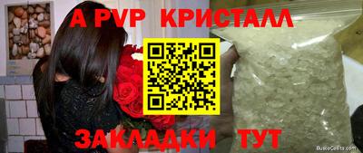 ECSTASY Кимры