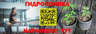 ECSTASY Кимры