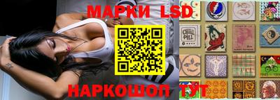 гидропоника Кинель