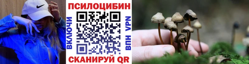 Галлюциногенные грибы Psilocybine cubensis  Лянтор 