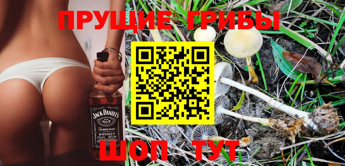 Лянтор  Галлюциногенные грибы Magic Shrooms  Вход с VPN 